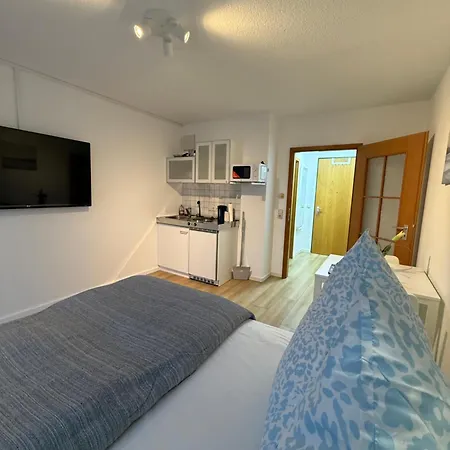 South - Modern & Stylish *